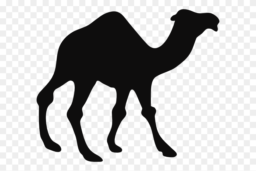 600x501 Верблюд Черно-Белый Клипарт - Верблюд Черный И Белый Клипарт