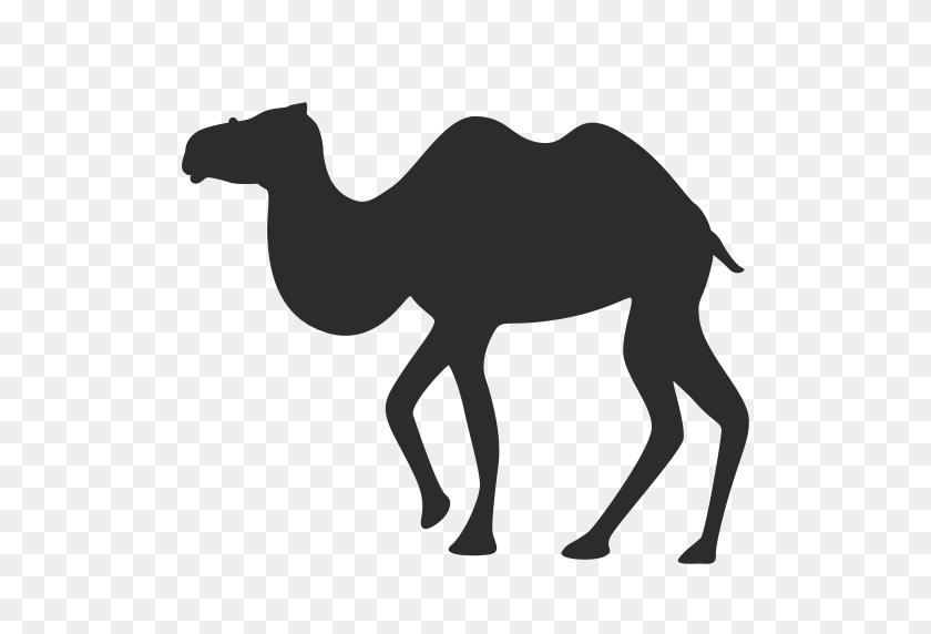 512x512 Верблюд, Пустыня, Значок Горба В Png И Векторном Формате Бесплатно - Черно-Белый Клипарт Верблюд