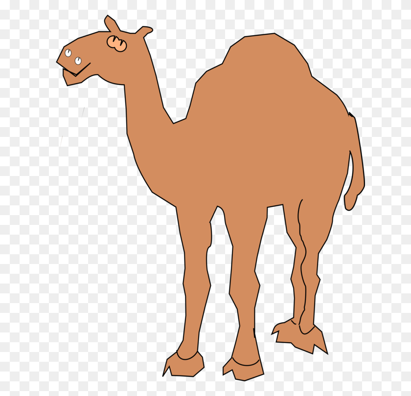 653x750 Camel Drawing Camera Silhouette - Camel Clipart