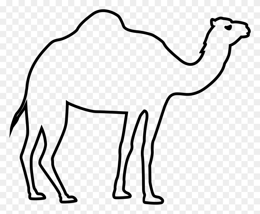 2000x1618 Camel Eid Al Fitr Eid Al Adha - Camel Clipart Blanco Y Negro