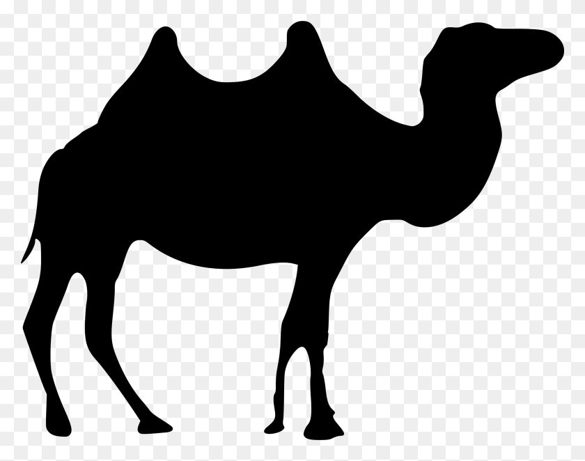 2400x1854 Camel Png Black And White Transparent Camel Black And White - Camel Clipart Black And White