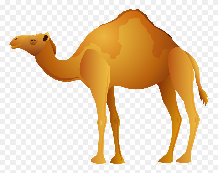 8000x6257 Camel Png Clip Art - Free Camel Clipart