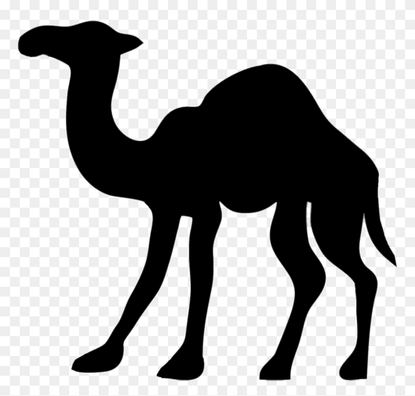 1200x1141 Camel Transparent Png - Camel PNG