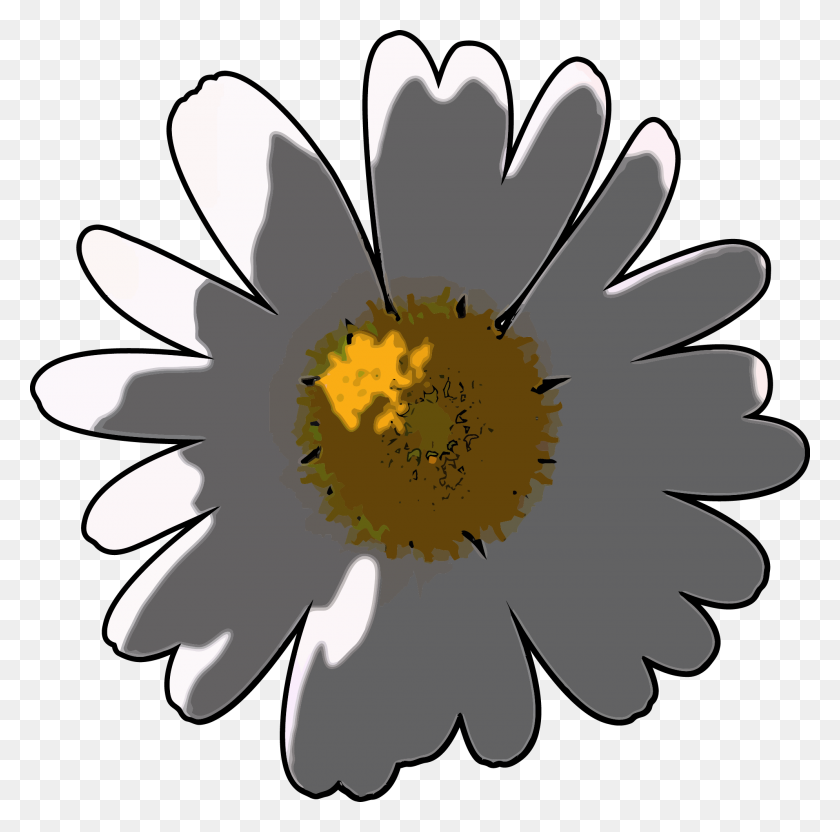 1989x1969 Camomile Flower Png Clipart - Chamomile PNG
