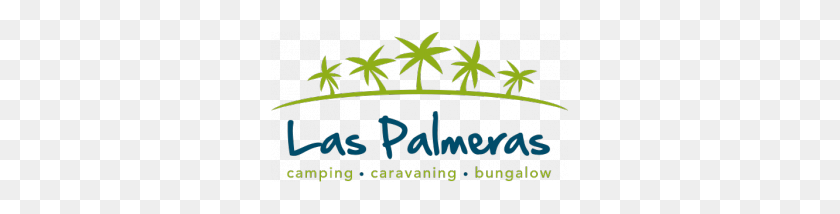 300x154 Camping En Tarragona Las Palmeras Cerca De Port Aventura - Palmeras Png