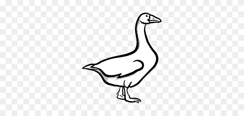 319x340 Canada Goose Drawing Line Art Duck - Canada Goose Clipart