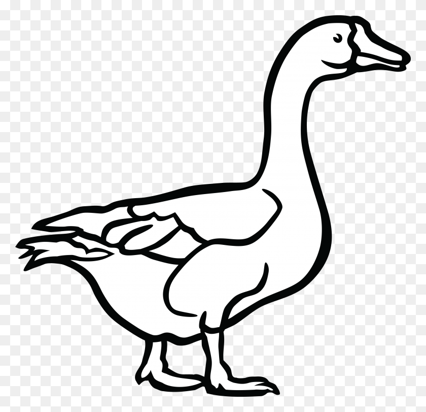 4000x3853 Canada Goose Duck Black And White Clip Art - Canada Goose Clipart
