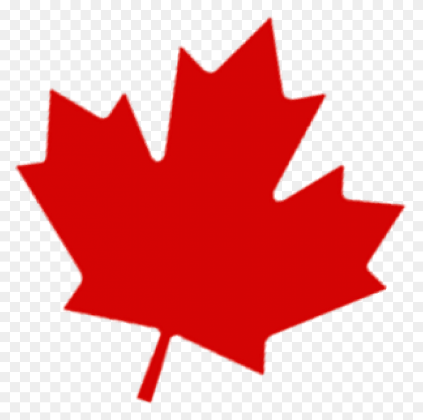 850x845 Hoja De Canadá Png Gratis - Canada Png
