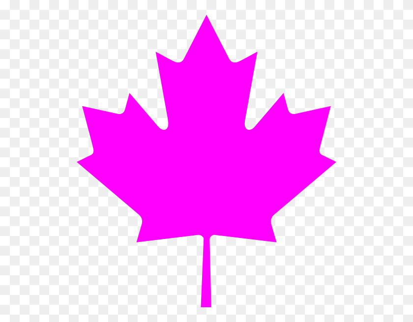 528x595 Canada Pink Leaf Clip Art - Canada Clipart