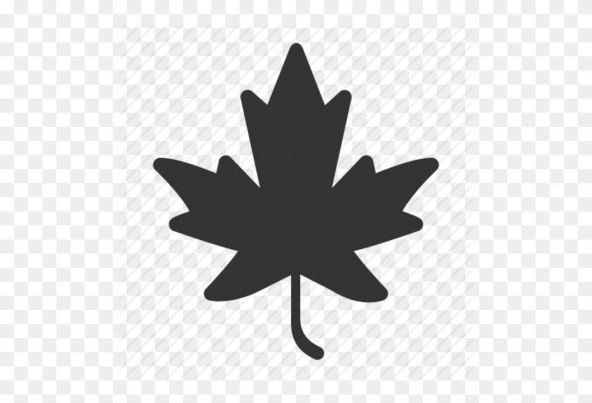 512x512 Канадский Лист Png, Черный, Осень, Канада, Канадский, Осень, Лист - Канадский Лист Png