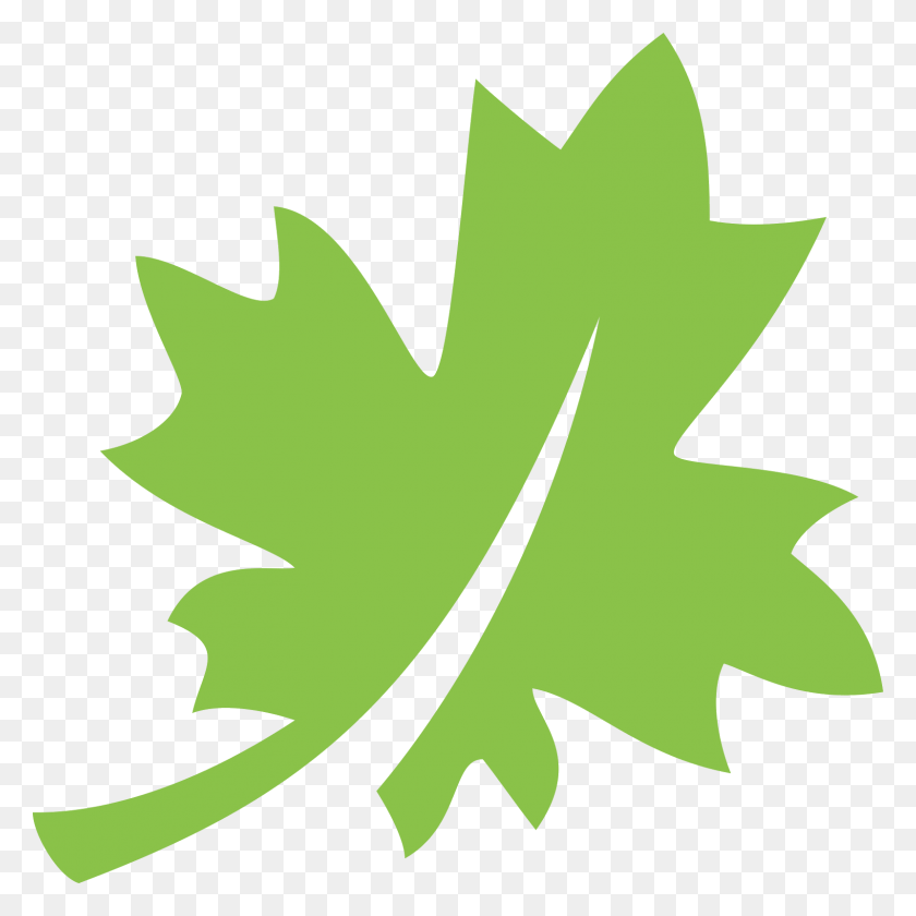 1600x1600 Флаг Канады Кленовый Лист Канады - Канадский Лист Png