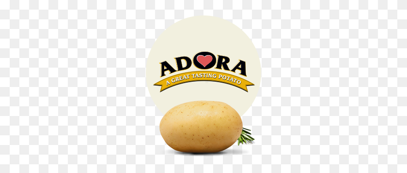 242x298 Canadian Potato Growers Kroeker Farms - Potatoes PNG