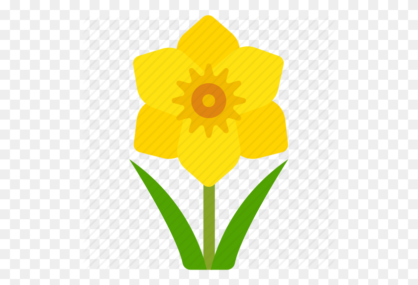512x512 Cancer, Daffodil, Floral, Florist, Flower, Nature Icon - Daffodil PNG