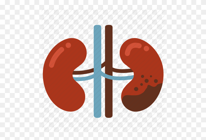 512x512 Cancer, Disease, Ill, Infection, Kidney, Kidney Failure Icon - Kidney PNG