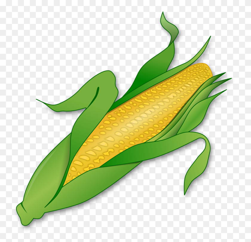 760x750 Candy Corn Кукуруза Кукуруза В Початках Скачать - Генетический Клипарт