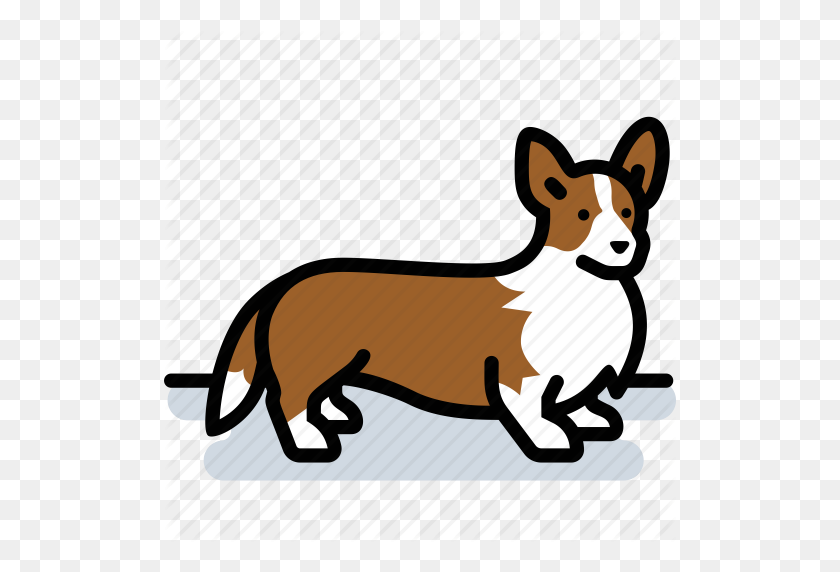 512x512 Canine, Corgi, Dog, Pet Icon - Corgi PNG