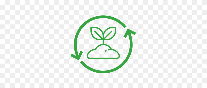 300x300 Canna On Block - Plant Life Cycle Clipart
