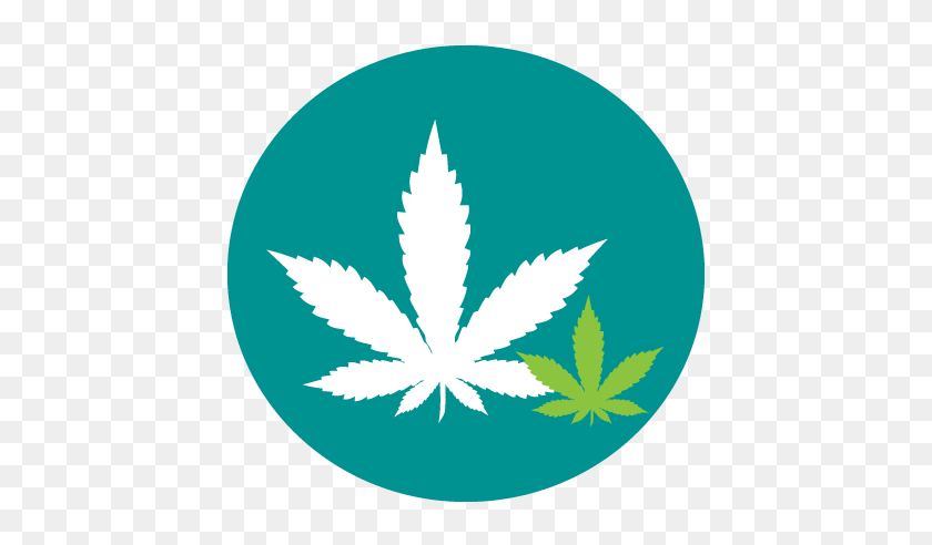 432x432 Cannabis - Weed Transparent PNG