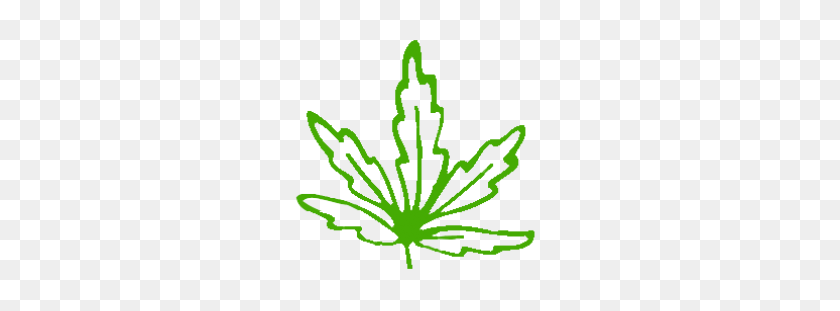 350x251 Cannabis - Marihuana Png