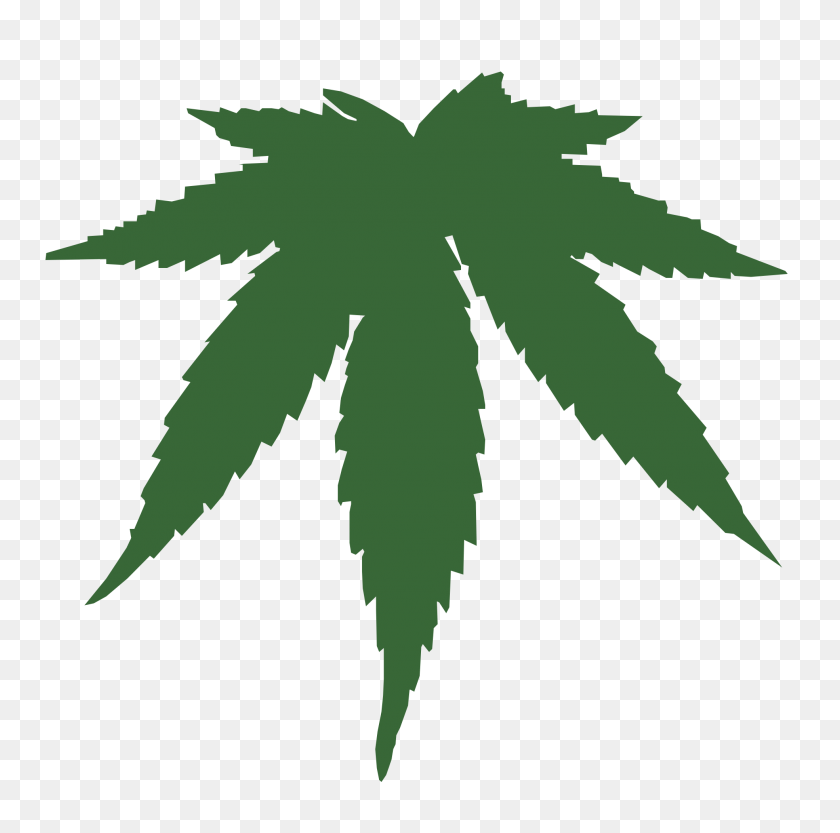 1969x1952 Cannabis Cannabis Cannabis, Weed And Cannabis Leaf - Weed PNG