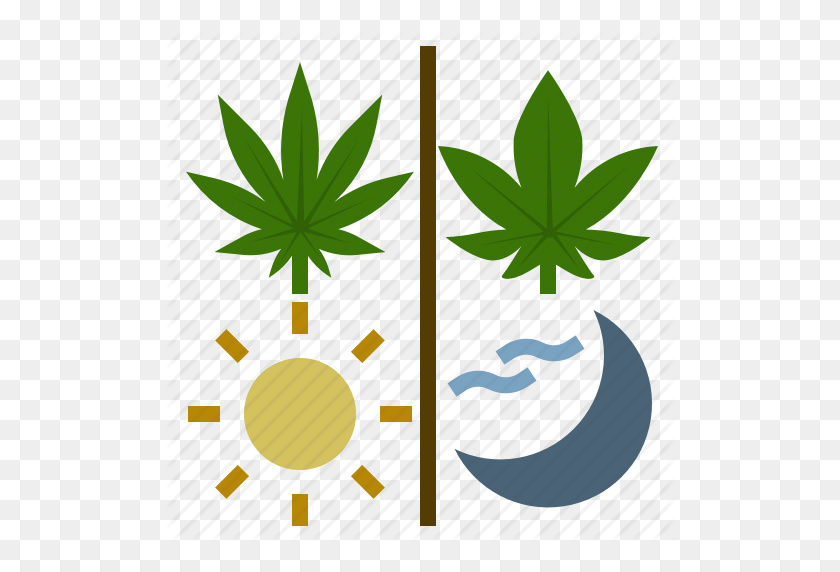 512x512 Cannabis, Día, Cáñamo, Índica, Noche, Sativa, Icono De Hierba - Hierba Png Transparente