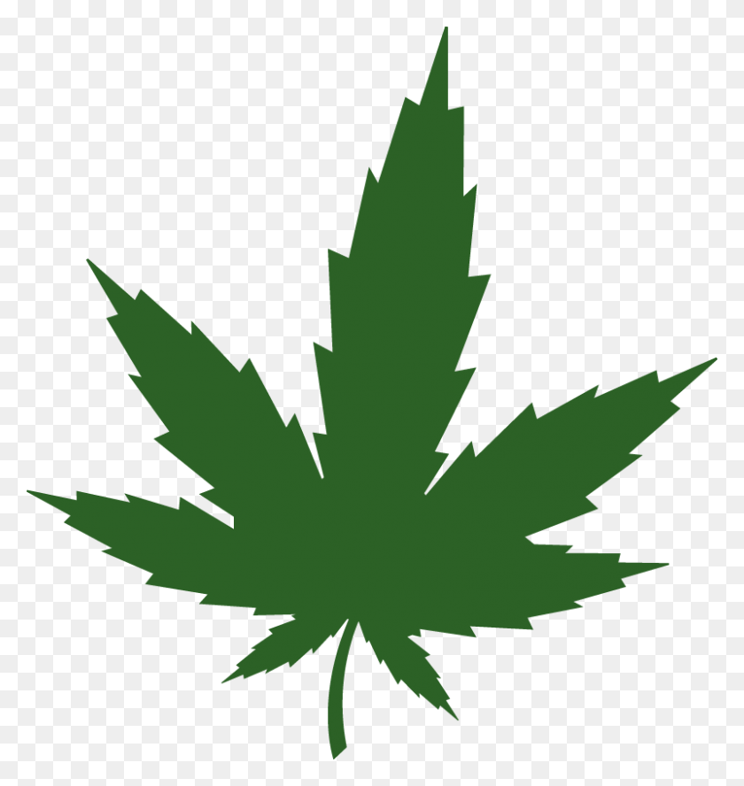 800x850 Cannabis Leaf - Cannabis Leaf PNG