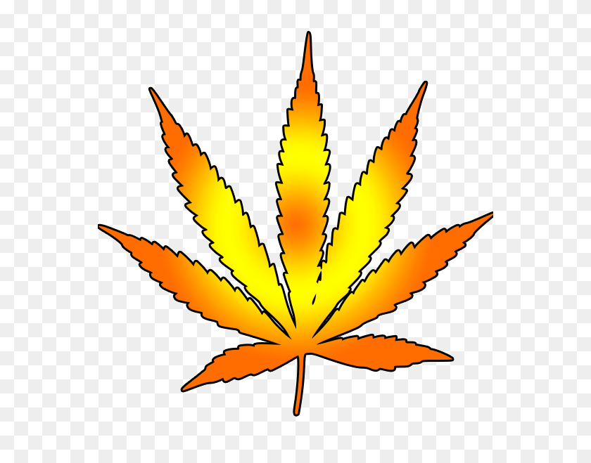 562x599 Cannabis Leaf Free Images - Pot Leaf Clip Art
