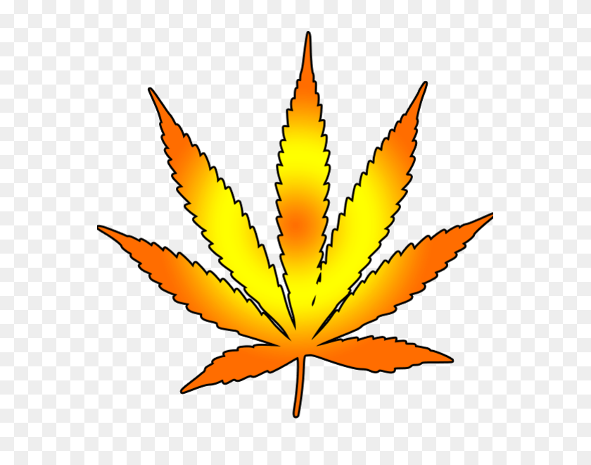 563x600 Cannabis Leaf Free Images - Yellow Leaf Clipart