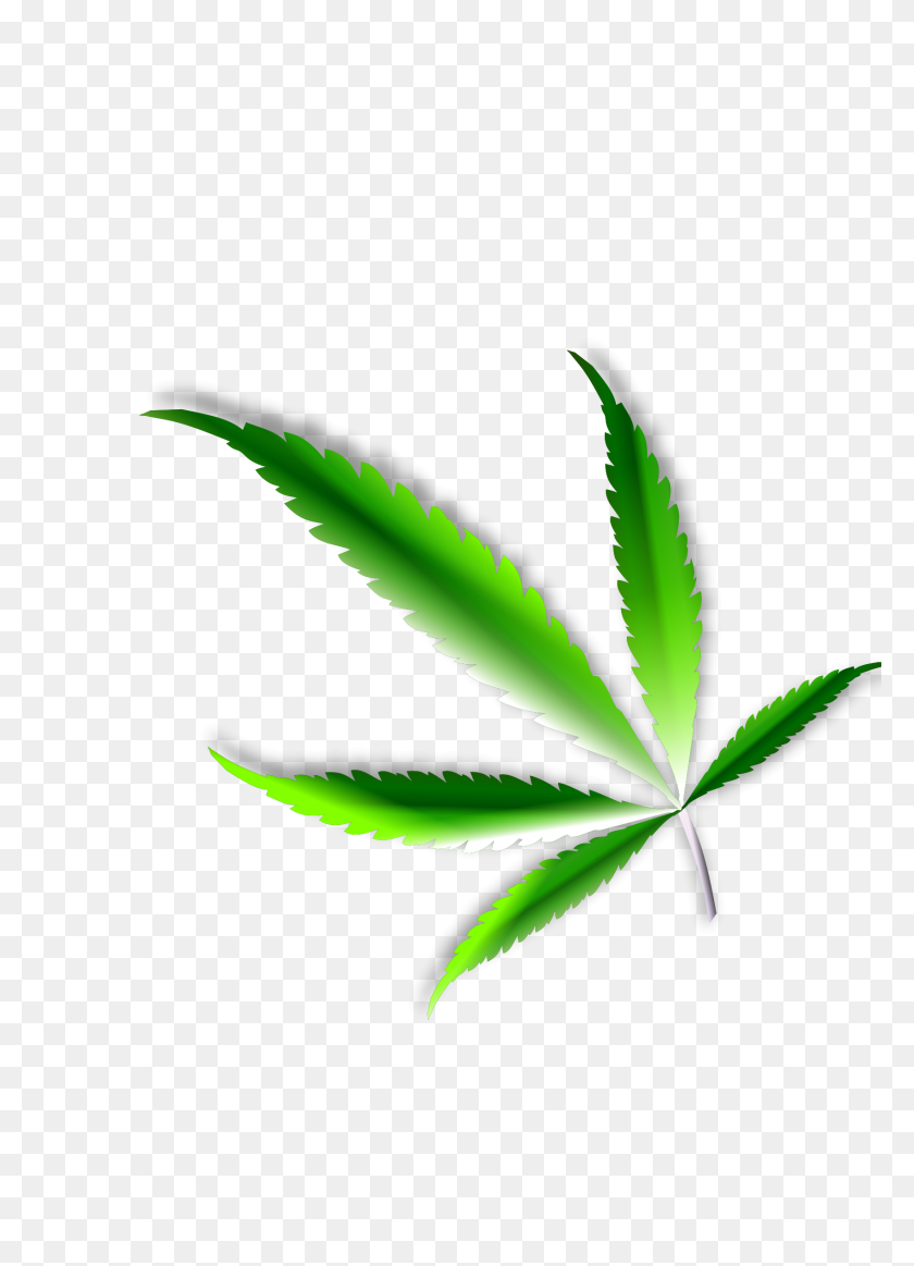 1697x2400 Cannabis Leaf Icons Png - Weed Leaf PNG