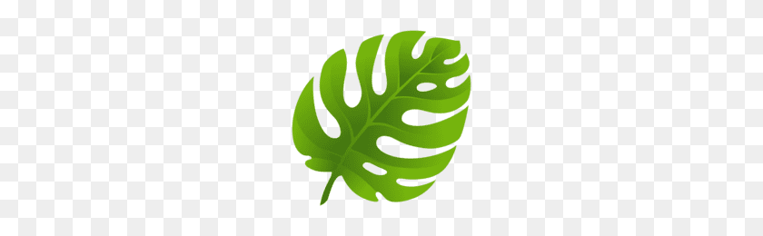 200x200 Cannabis Leaf Transparent Png Image - Weed Leaf PNG