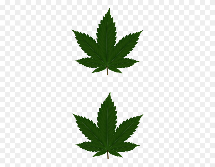 282x594 Cannabis Leaves Clip Art - Cannabis Clipart
