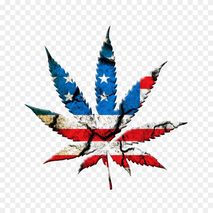 1200x1200 La Legalización Del Cannabis Es La Cuestión Bipartidista Que Necesitamos En Este Momento - Hoja De Maceta Png