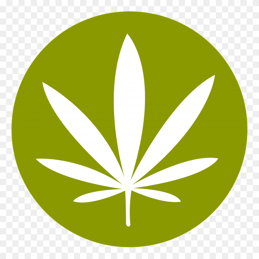 3508x3508 Cannabis Png - Weed Transparent PNG