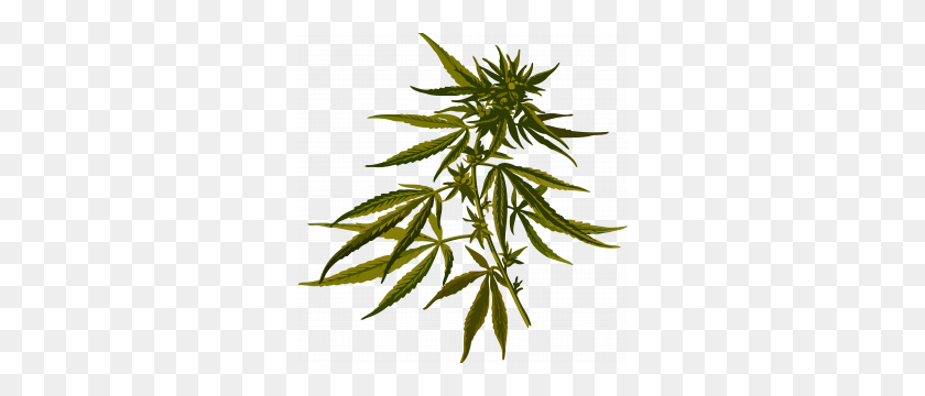 300x300 Cannabis Png Icon Web Icons Png - Cannabis PNG