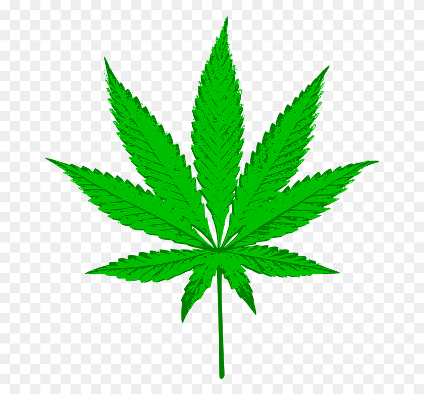 662x720 Cannabis Png Image - Cannabis PNG