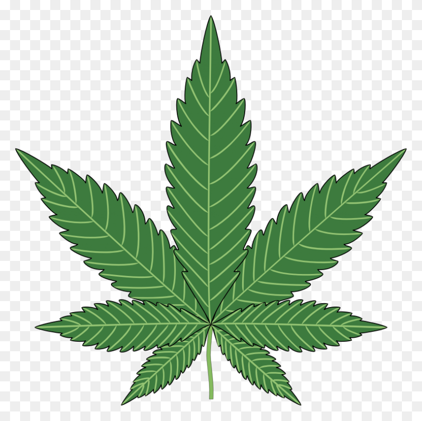792x791 Cannabis Png Images Free Download - Plant PNG