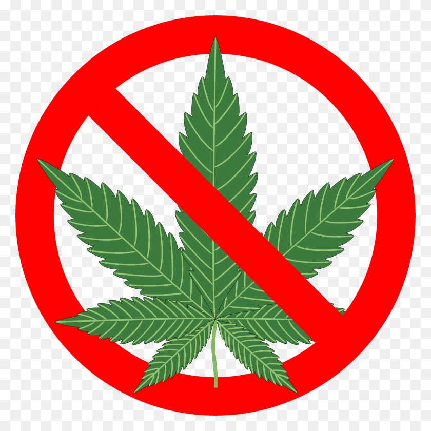 2218x2218 Cannabis Png Images Free Download - Weed Leaf PNG