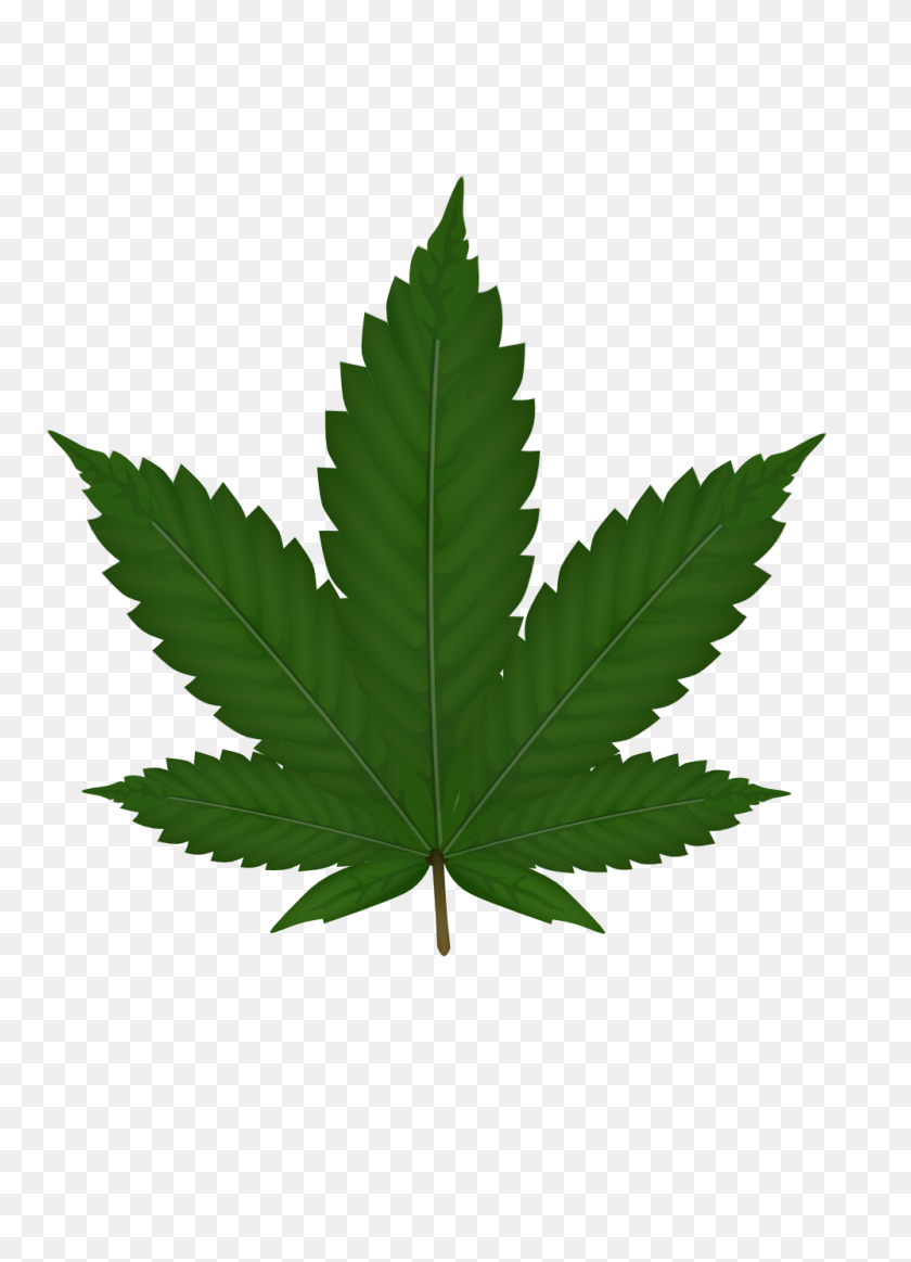 999x1413 Cannabis Png Images Free Download - Marijuana Plant PNG