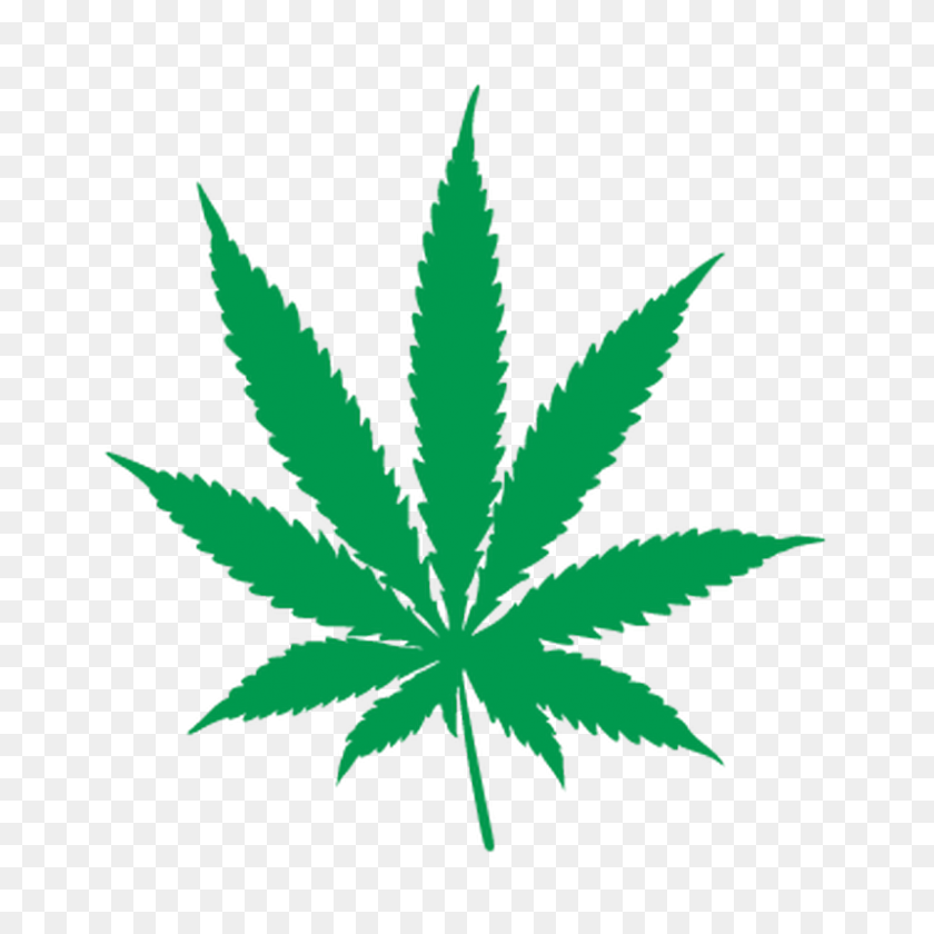 800x800 Cannabis Png Images Free Download - Cannabis Leaf PNG
