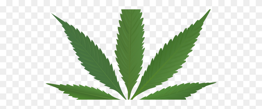 554x290 Cannabis Png Imagen Web Iconos Png - Cannabis Png