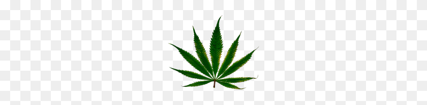 180x148 Cannabis Weed Leaf Png Free Images - Weed Plant Clipart