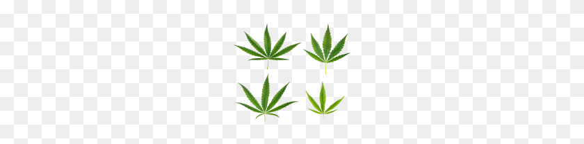 180x148 Cannabis Weed Leaf Png Free Images - Marijuana Leaf PNG