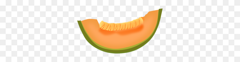 299x159 Cantaloupe Slice Clip Art - Watermelon Slice Clipart