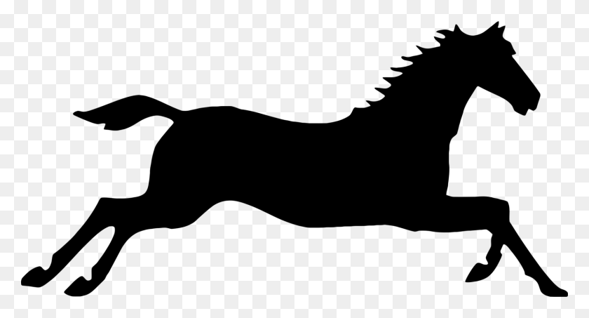 1487x750 Canter And Gallop Arabian Horse Equestrian Stallion Free - Gallop Clipart