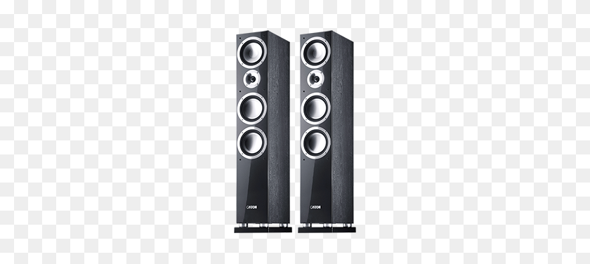 316x316 Canton Pair Floorstanding Speaker - Speaker PNG