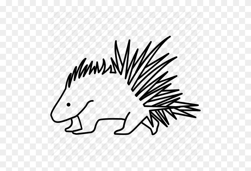 512x512 Cape, Crested, Mammal, Porcupine, Quills, Rodent, Spines Icon - Porcupine PNG