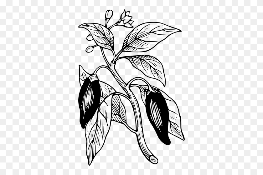 340x500 Capsicum With Its Leaves Vector Clip Art - Pepper Clipart Black And White