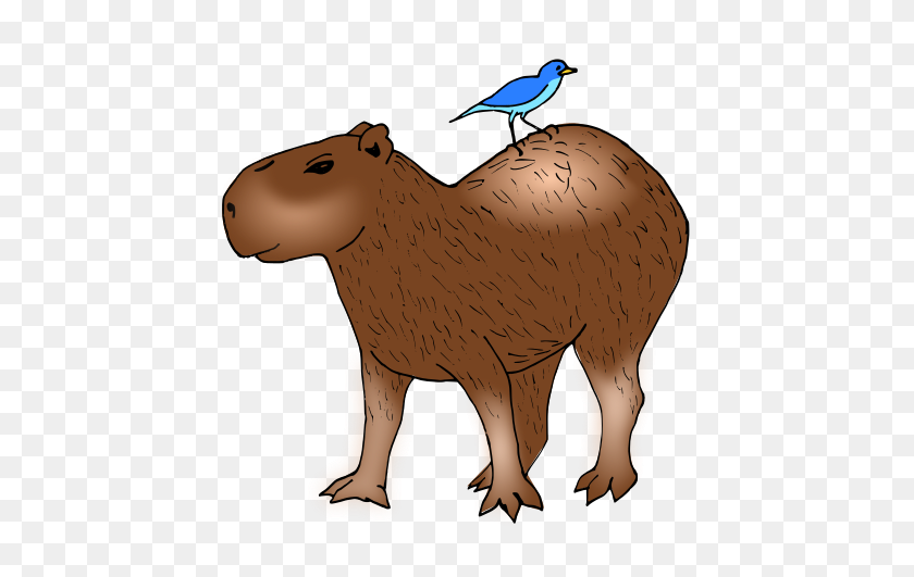 472x471 Capybara Clipart - Wombat Clipart