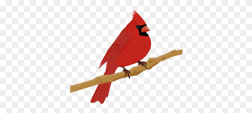 378x317 Cardinal Bird - Cardinal Clip Art