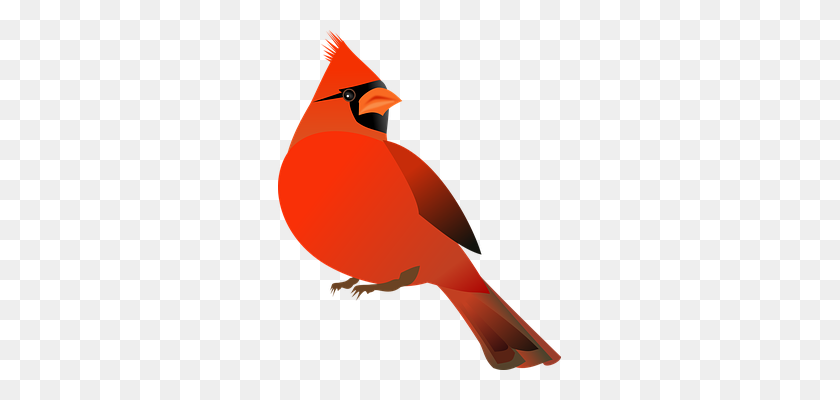 283x340 Cardinal, Bird, Cardinalidae Art Class Ideas Birds - Red Bird Clipart